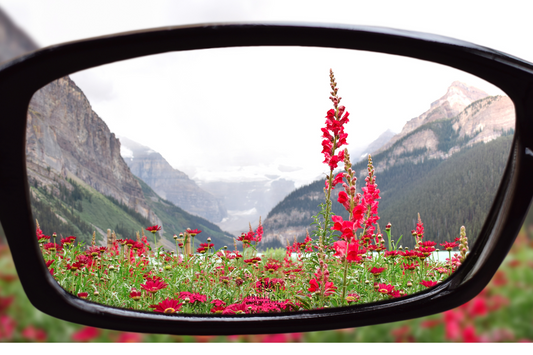 The Power of Perception: How It Shapes Your Reality
