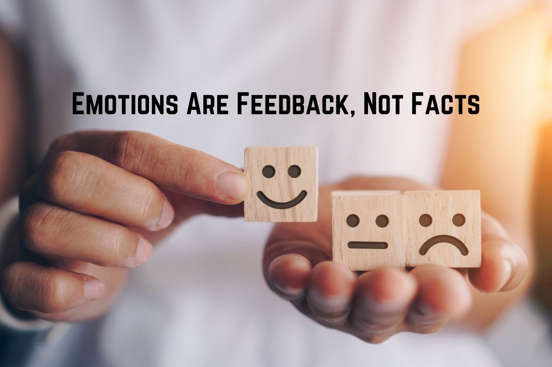 Emotions Are Feedback, Not Facts